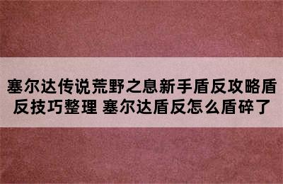 塞尔达传说荒野之息新手盾反攻略盾反技巧整理 塞尔达盾反怎么盾碎了